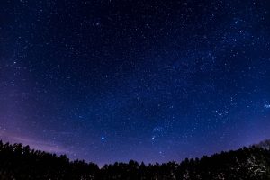 blog img 6